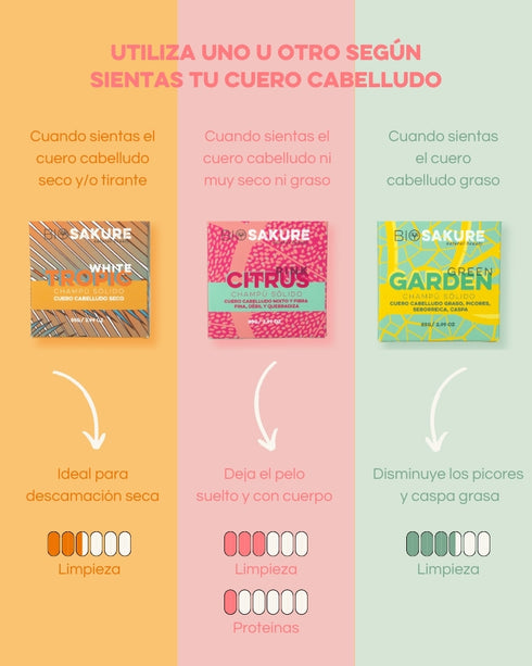 pack champú sólidos cuero cabelludo seco, normal y graso